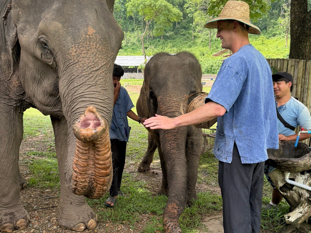 Lanna Kingdom Elephant Sanctuary-清迈必去景点