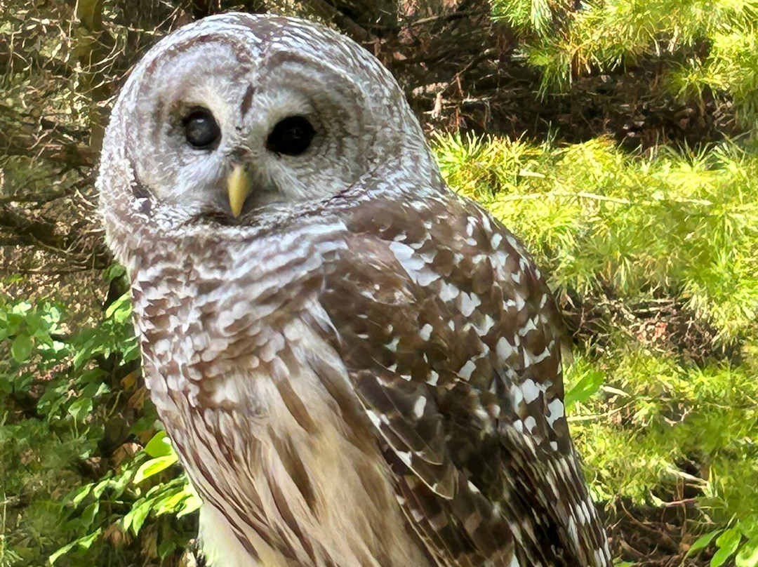 Open Door Bird Sanctuary-Jacksonport必去景点