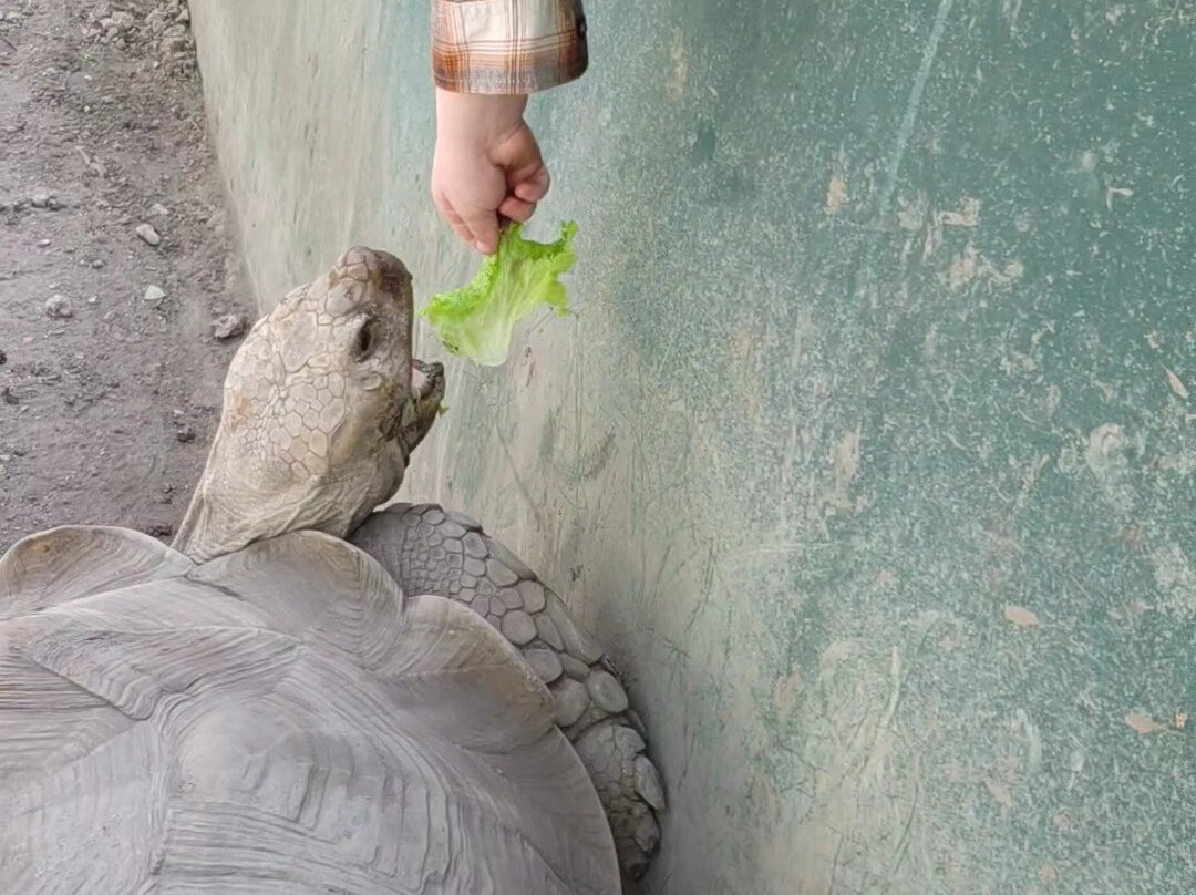 Monkey Jungle-迈阿密必去景点