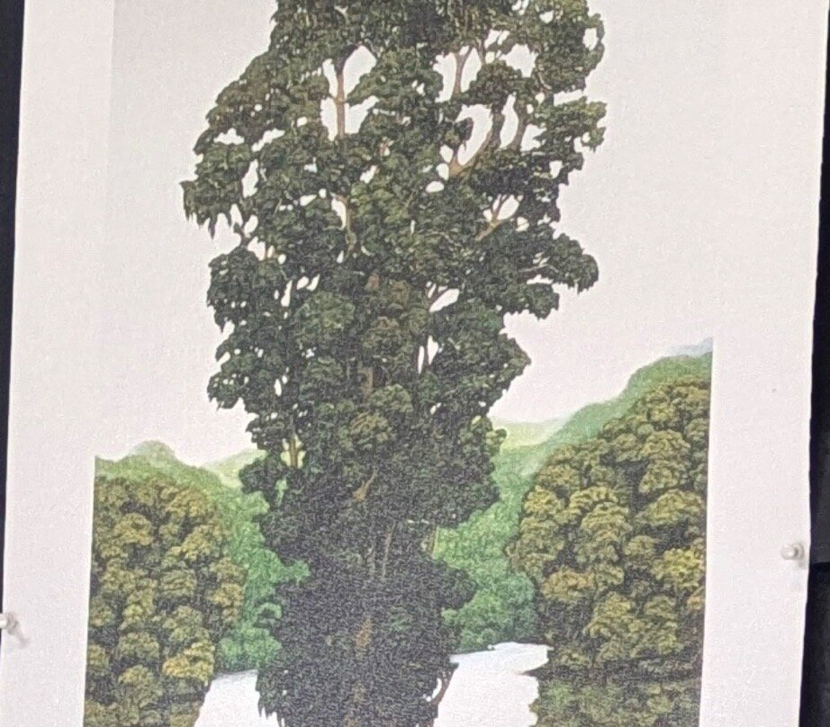 Arte Jaguar Gallery-蒙特维多云雾森林自然保护区必去景点