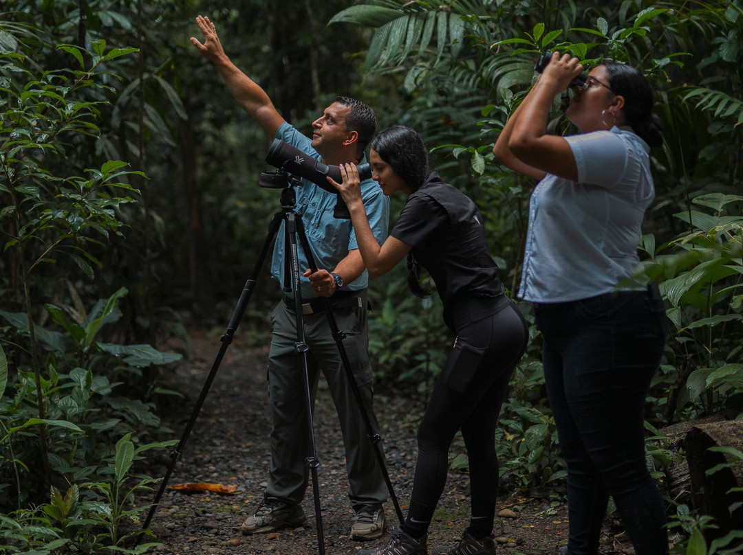 Monkey Park La Fortuna-La Fortuna必去景点
