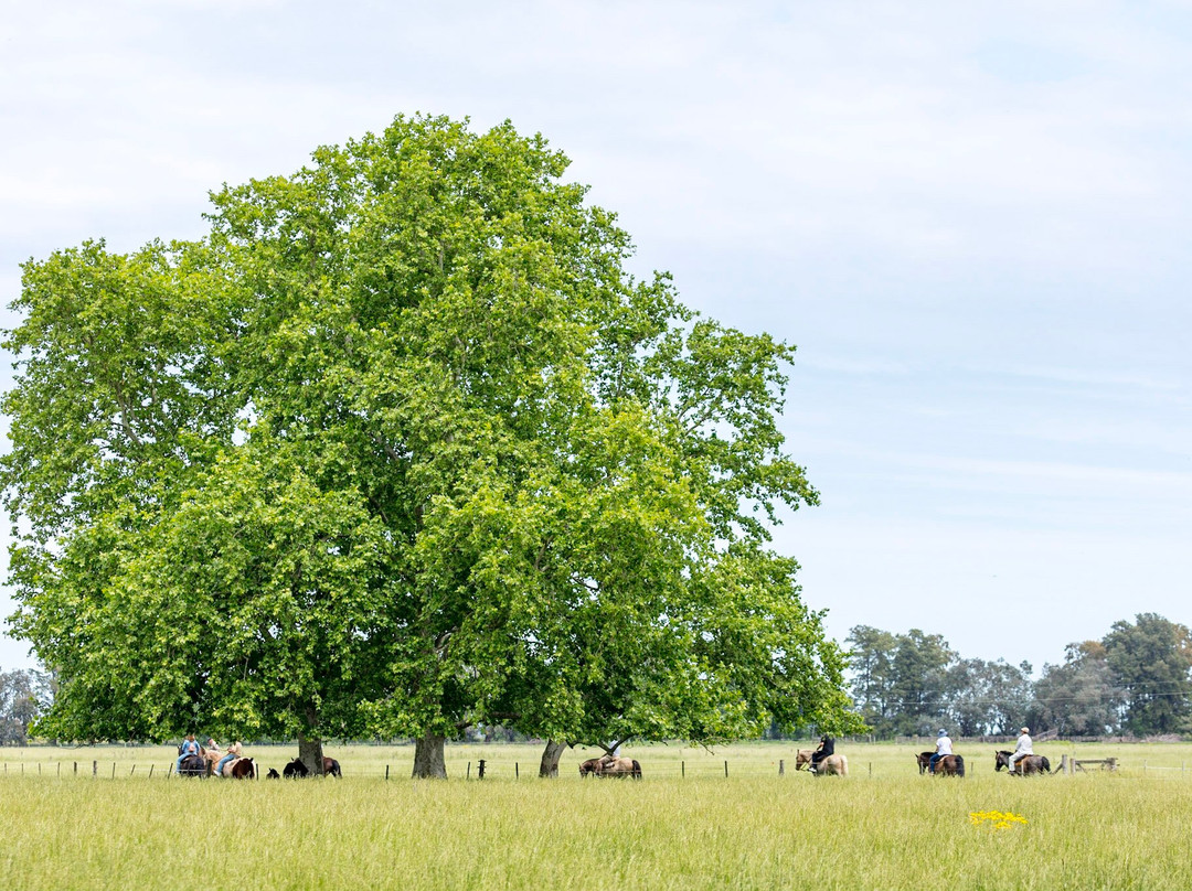 Estancia La Bandada主图