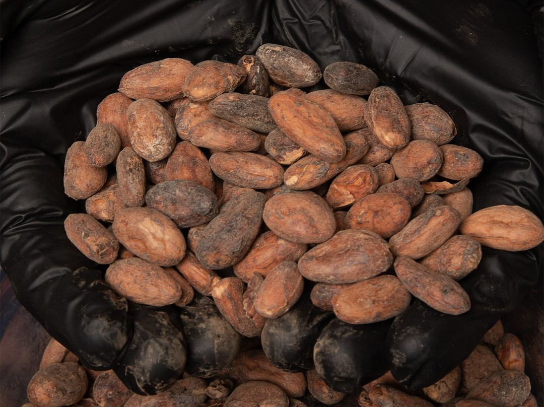 Nc Chocolatier-斯科基必去景点