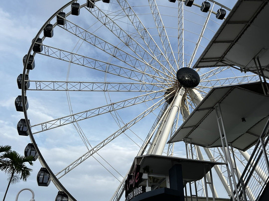 Skyviews Miami-迈阿密必去景点