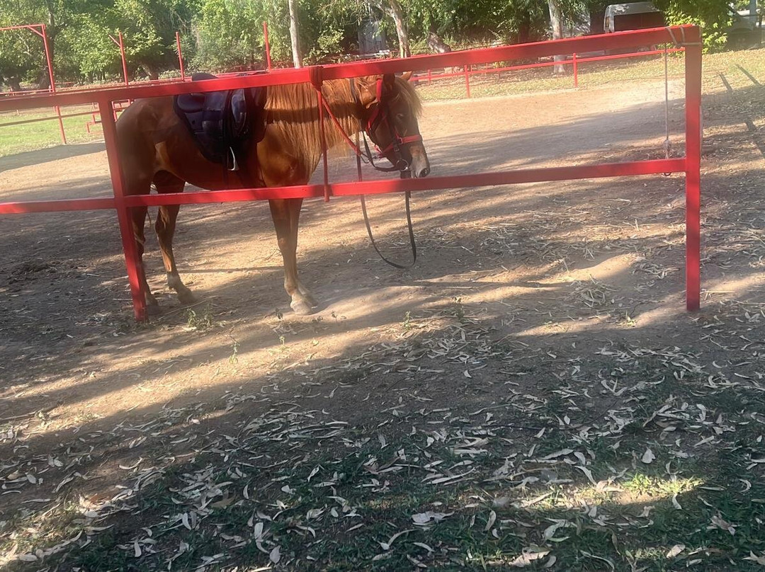 Pinar Horse Safari-马尔马里斯必去景点