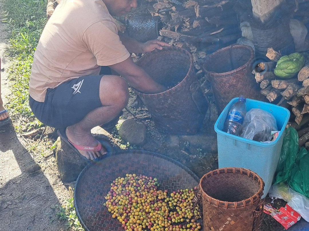 Wae Rebo Village-弗洛勒斯岛必去景点