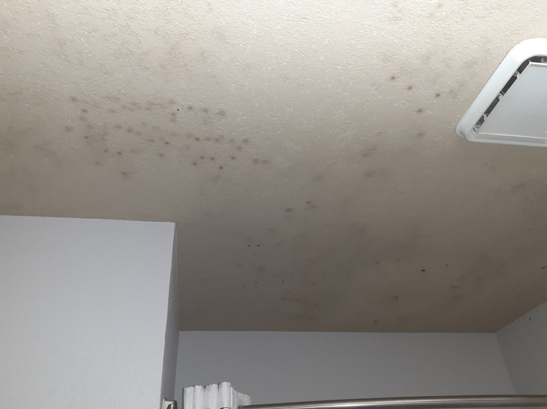 Norwood Inn & Suites Eagan