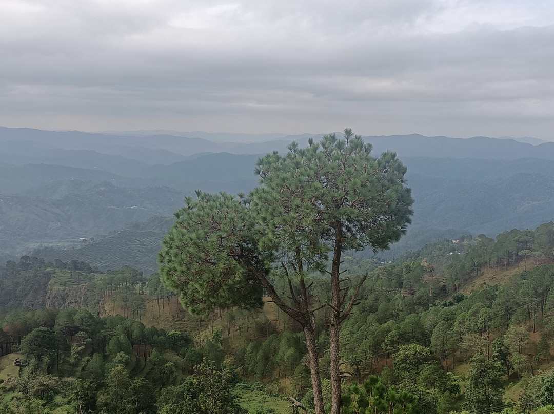 Peaks And Pines Resort主图