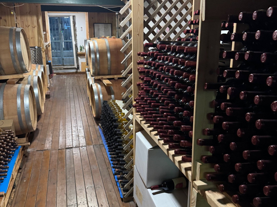 Berenice Winery-提比利亚必去景点