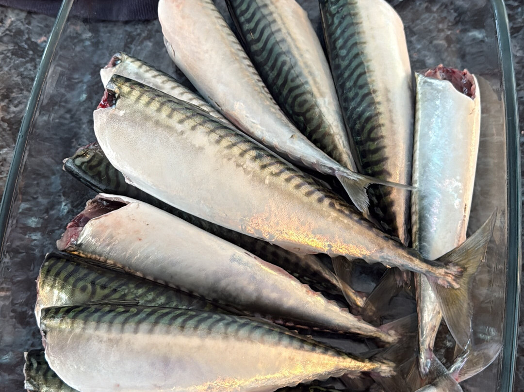 Barmouth Boat Trips-Barmouth必去景点