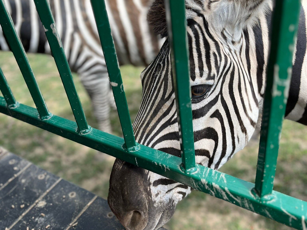 Aikman Wildlife Adventure-Arcola必去景点