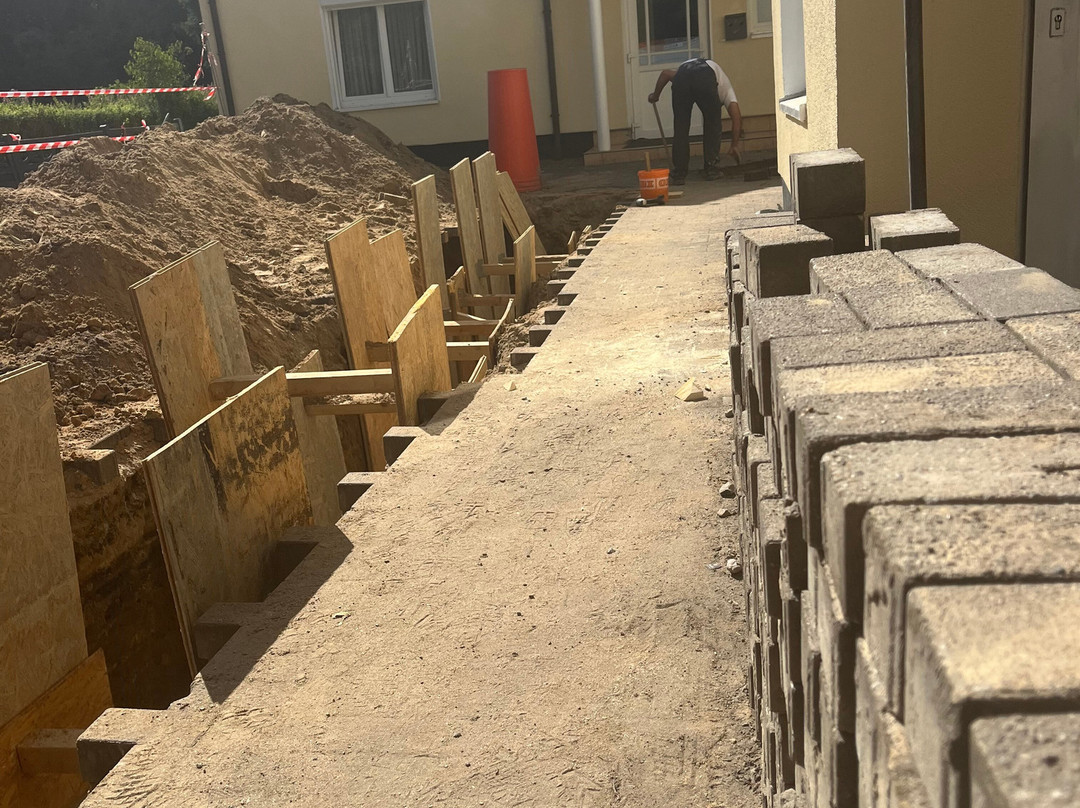 Musa's Grune Tanne主图