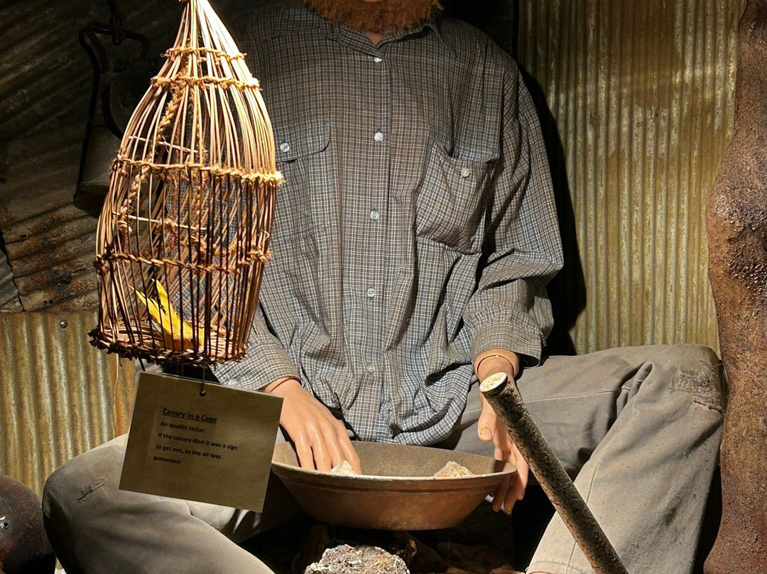 Proserpine Museum-Proserpine必去景点