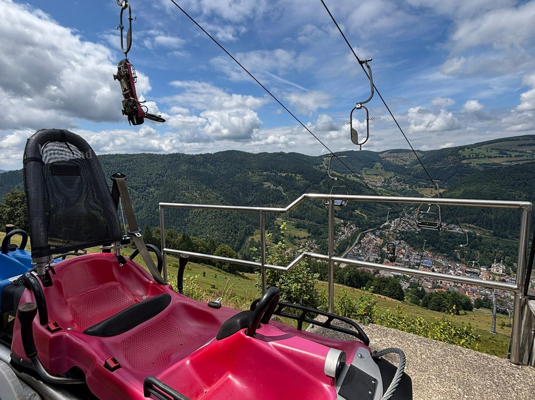 Hasenhorn Coaster Todtnau-托特瑙必去景点