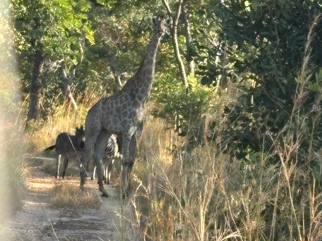 Kuti Wildlife Reserve-沙利马必去景点