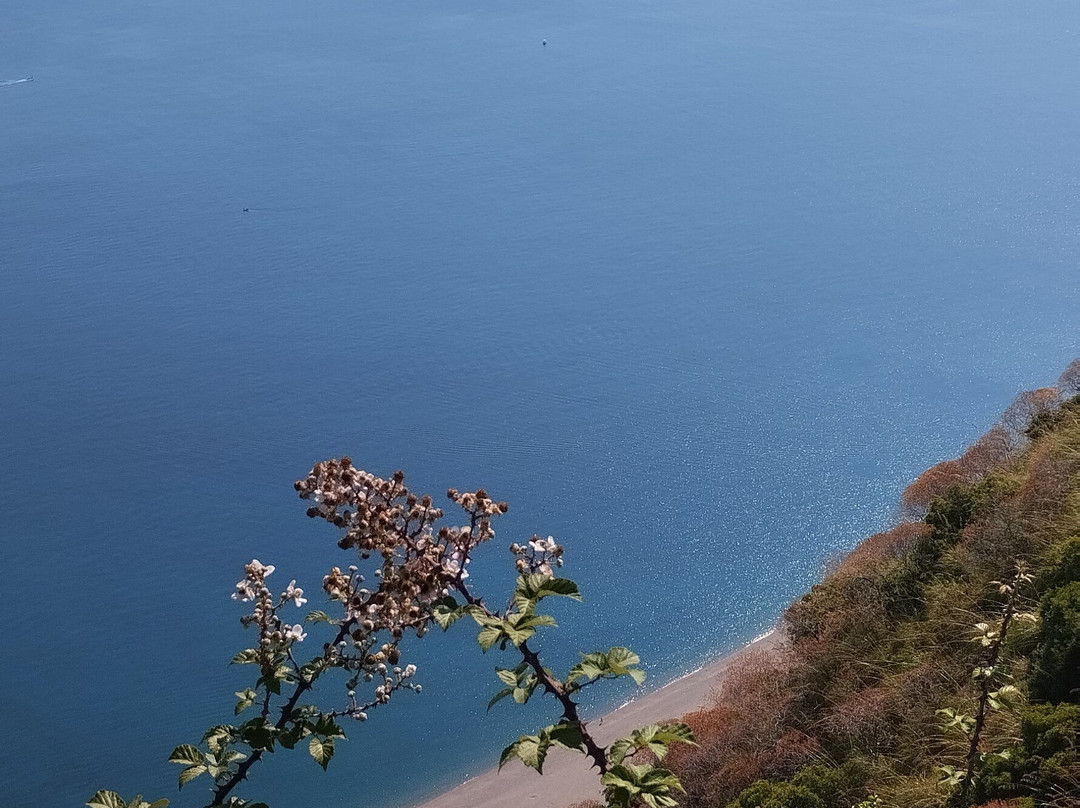 Riserva Naturale Orientata Laghetti di Marinello-Marinello必去景点
