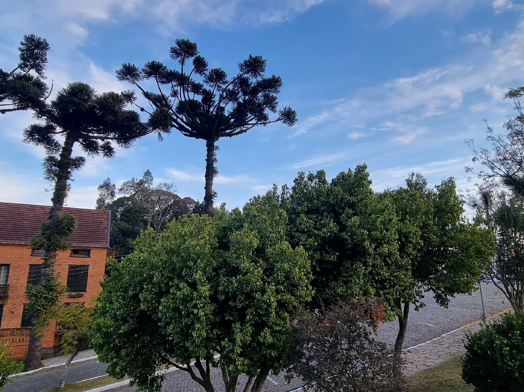 Bella Visione Viewpoint-Garibaldi必去景点