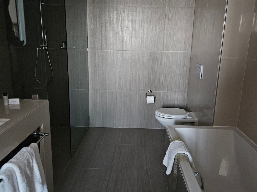 Southern Sun Hyde Park Sandton主图