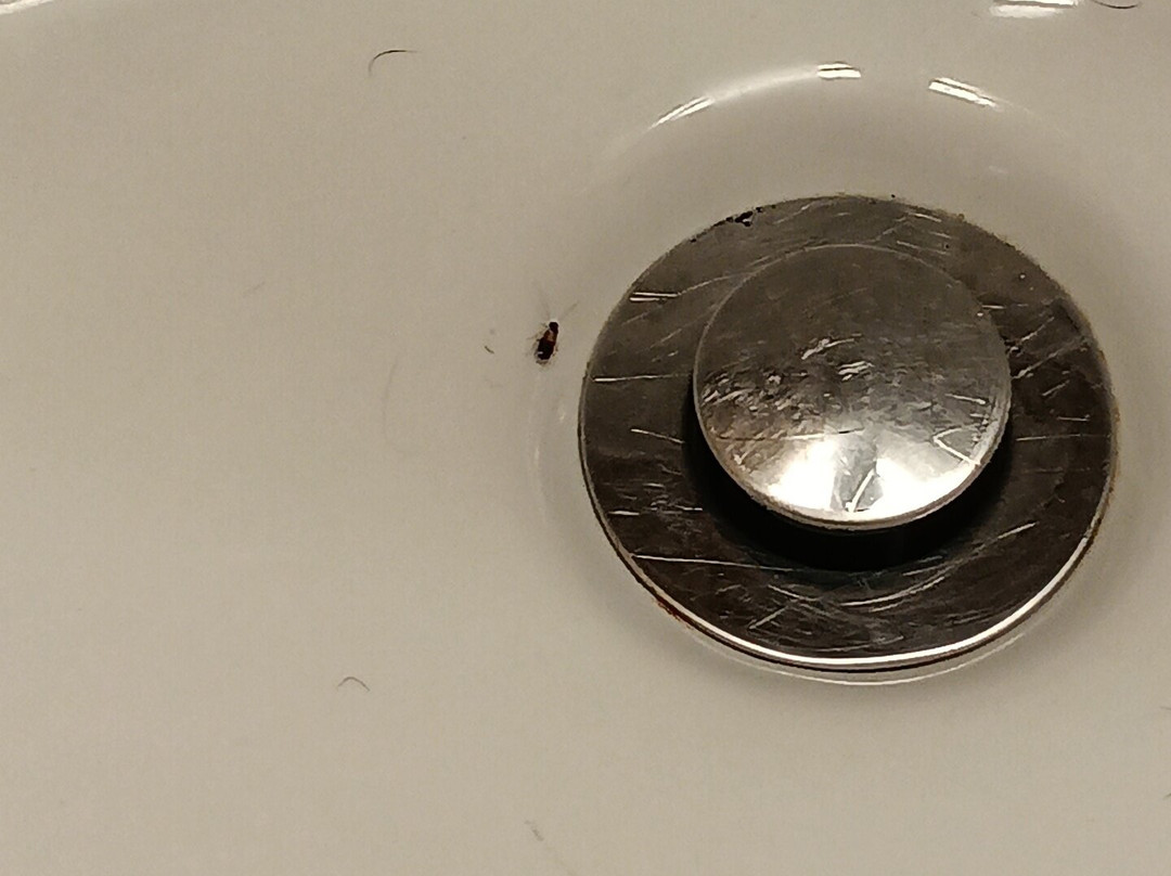 Super 8 by Wyndham Findlay主图