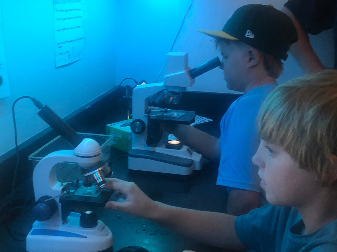 Maritime Gloucester-格洛斯特必去景点