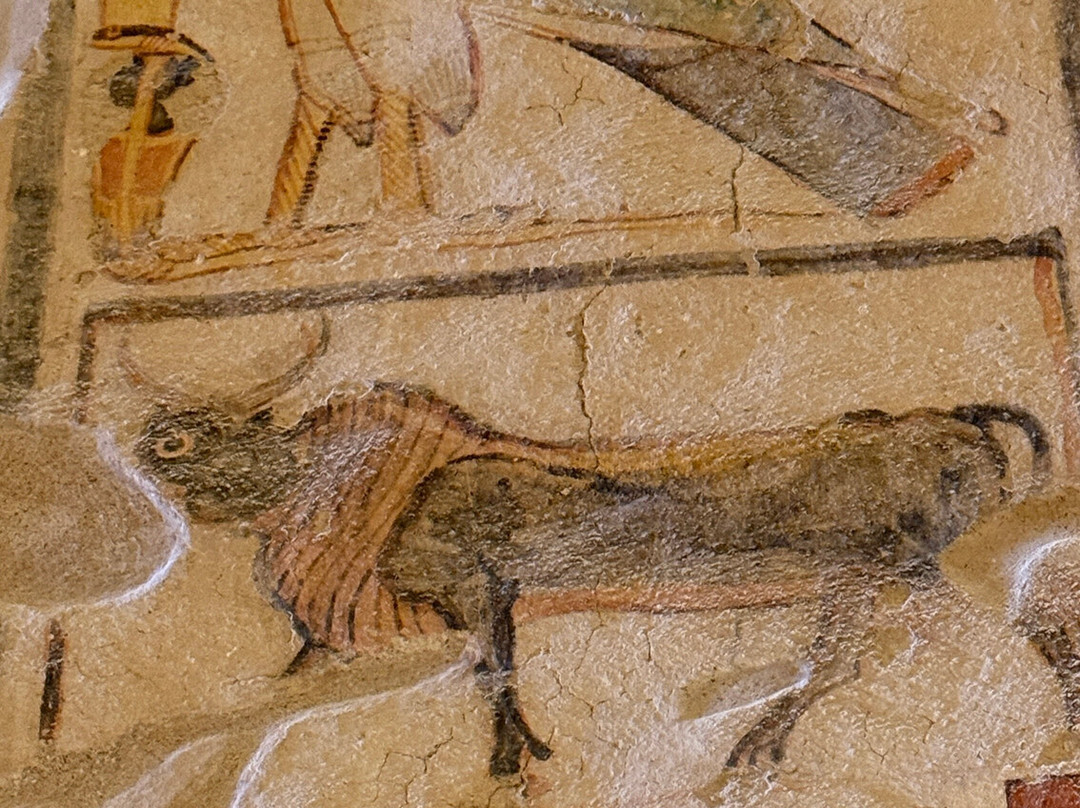 Tomb of Ramases IX-卢克索必去景点