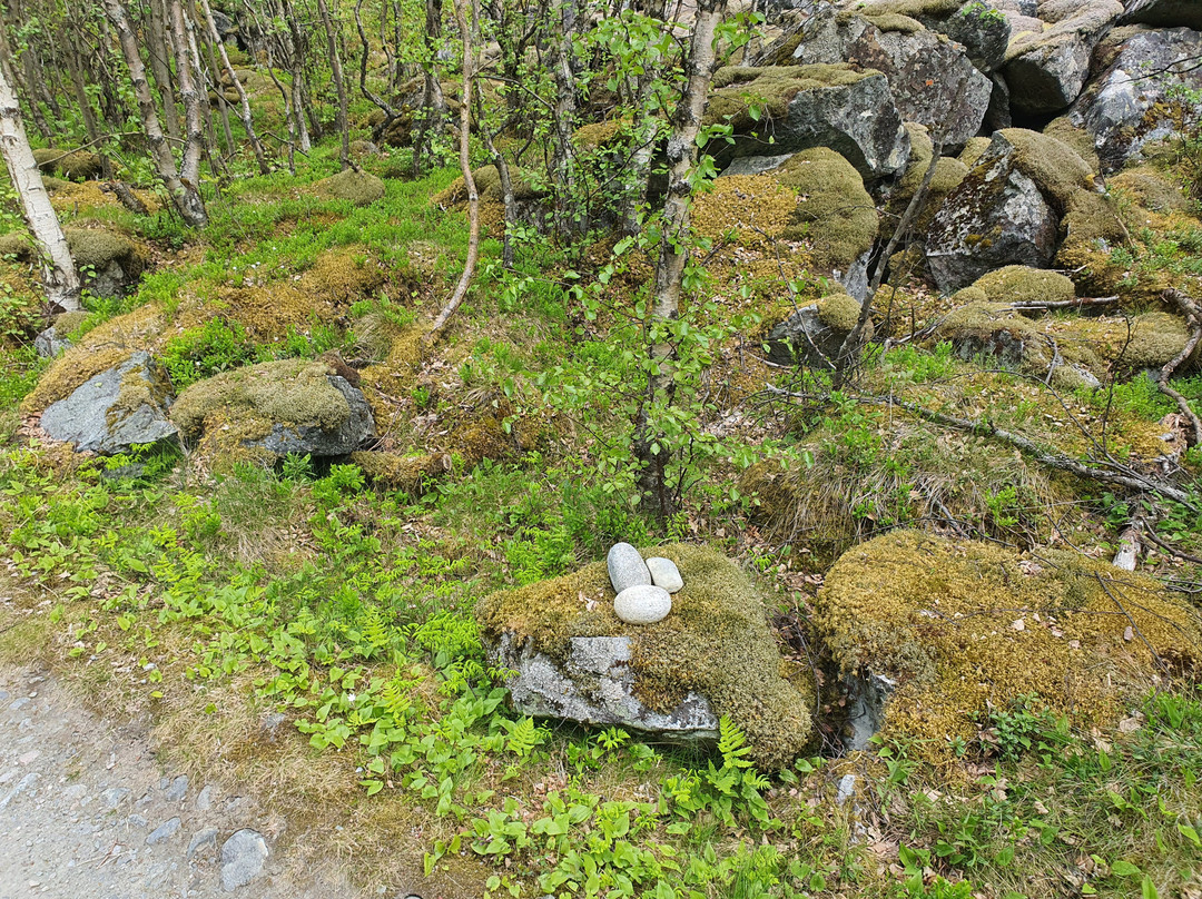 Vettisfossen-Ovre Ardal必去景点