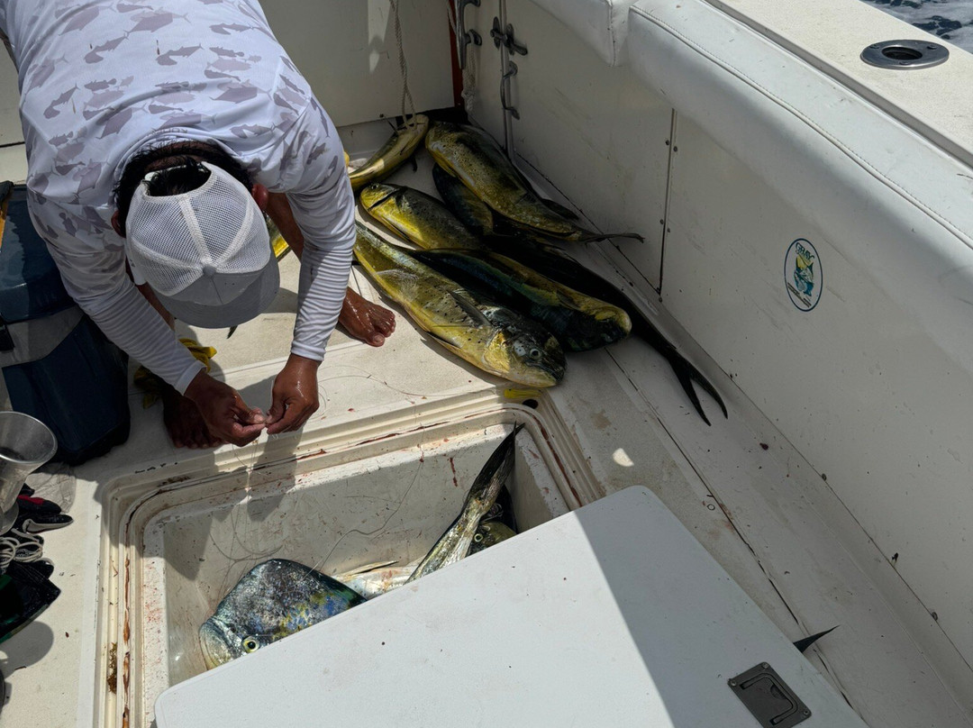 Wasabi Loco Sportfishing Adventures-阿范特拉斯港必去景点