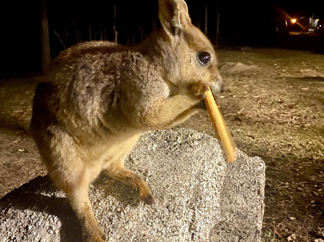 Granite Gorge Nature Park-马里巴必去景点