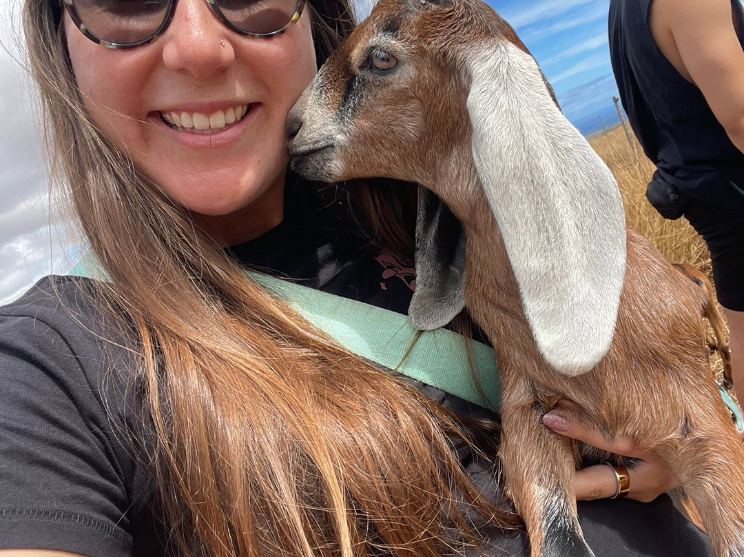 Haleakala Creamery-库拉必去景点