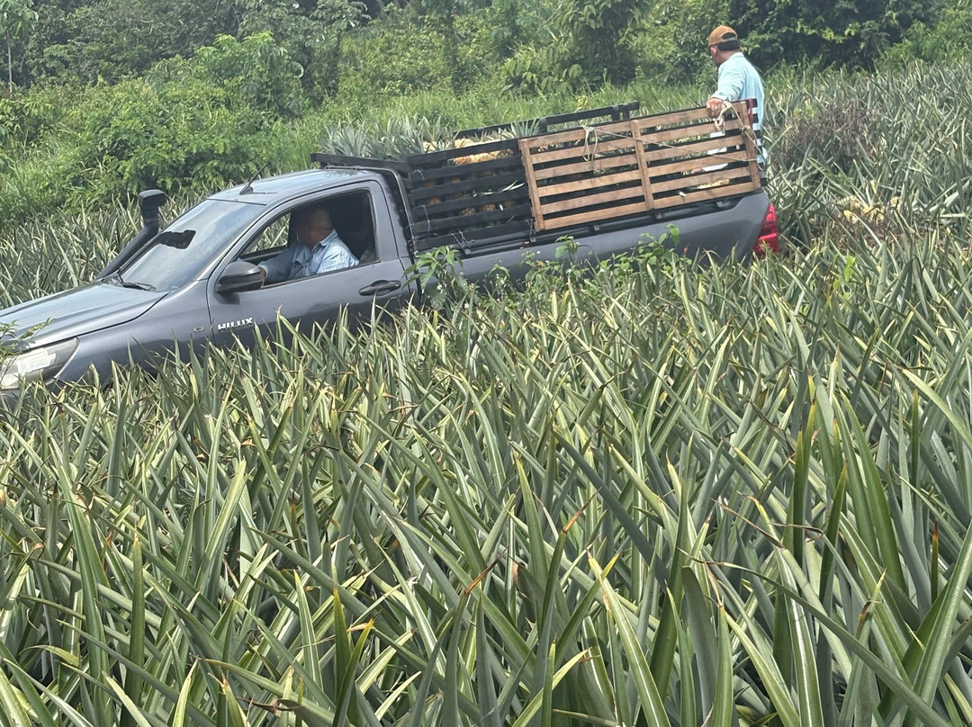 Panama Great Adventures-巴拿马城必去景点