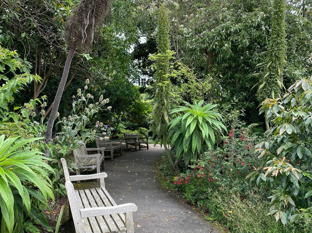 Elmsdale Guest House主图