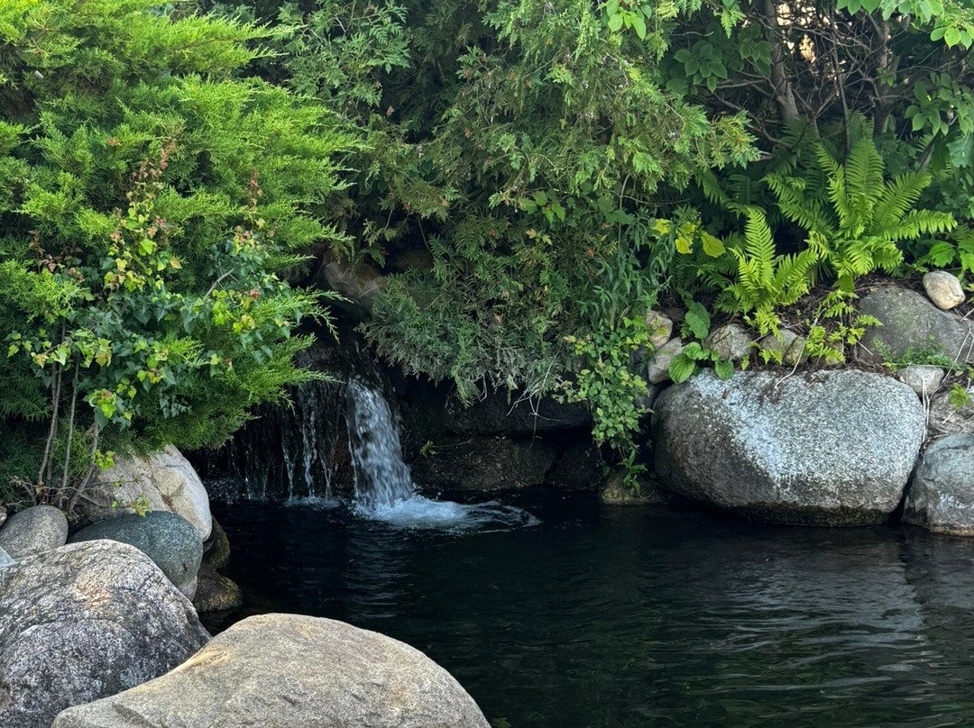 East Park-夏洛瓦必去景点