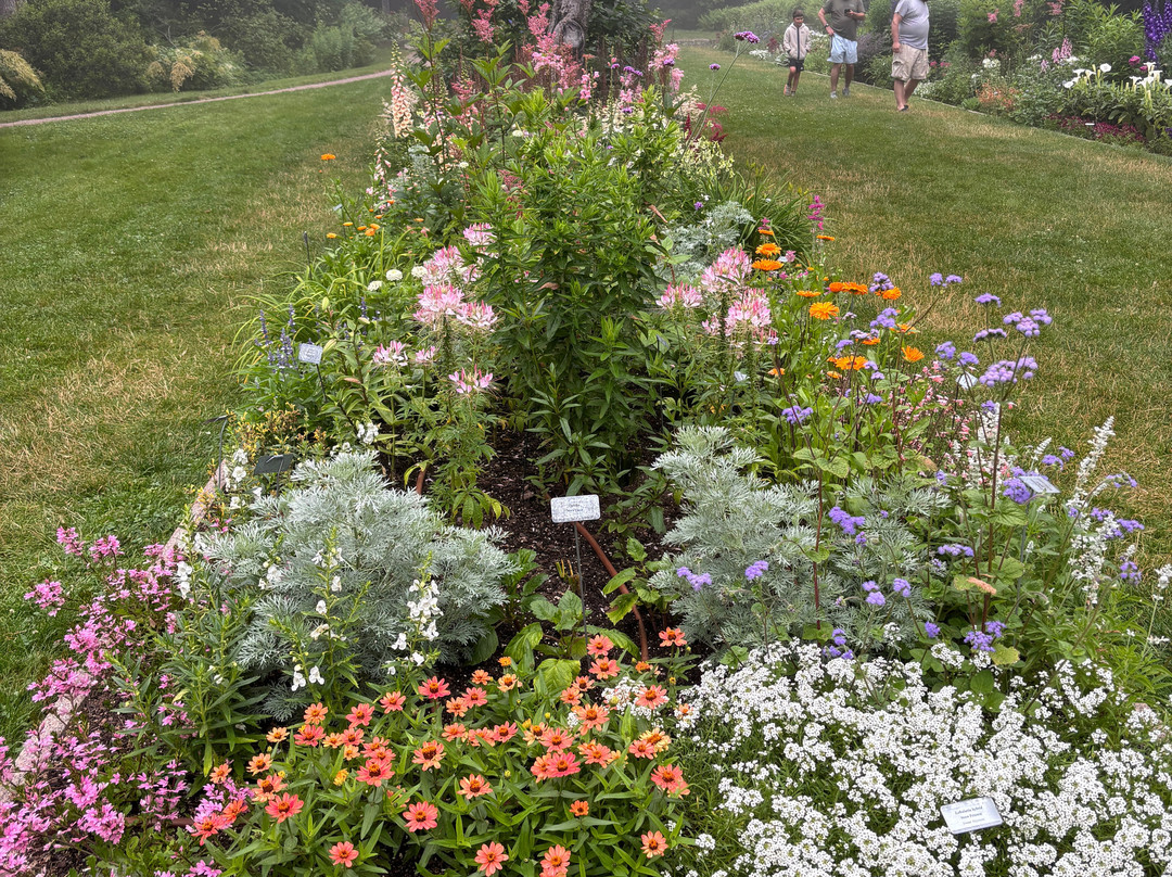 Thuya Gardens-Mount Desert必去景点