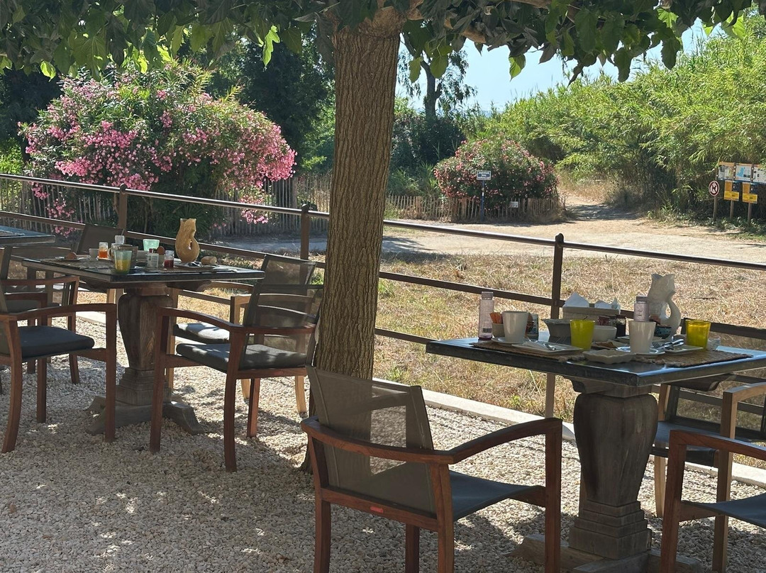 Le Clos Des Sept Palmiers主图