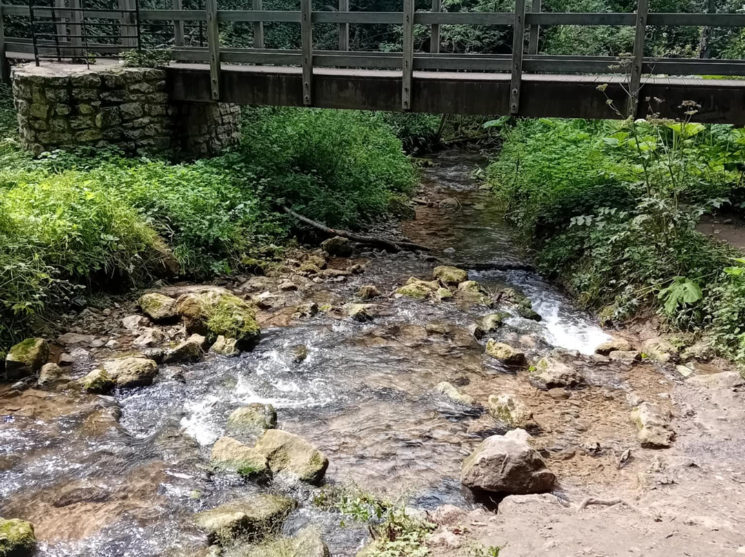 Dyserth Waterfall-Dyserth必去景点