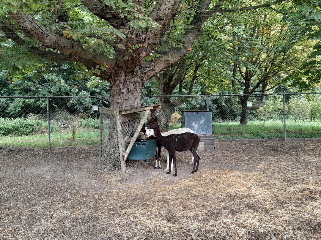 Bastion Hotel Rotterdam Zuid主图