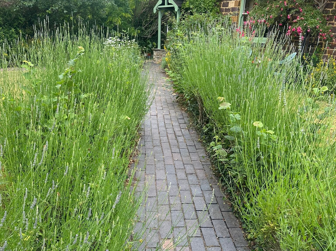 Gisela’s Bed & Breakfast主图