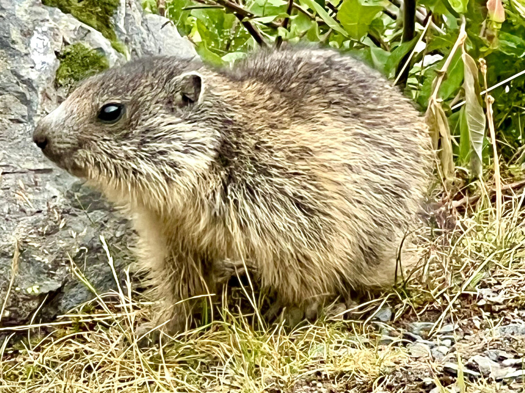 Lac de Badet-Aragnouet必去景点