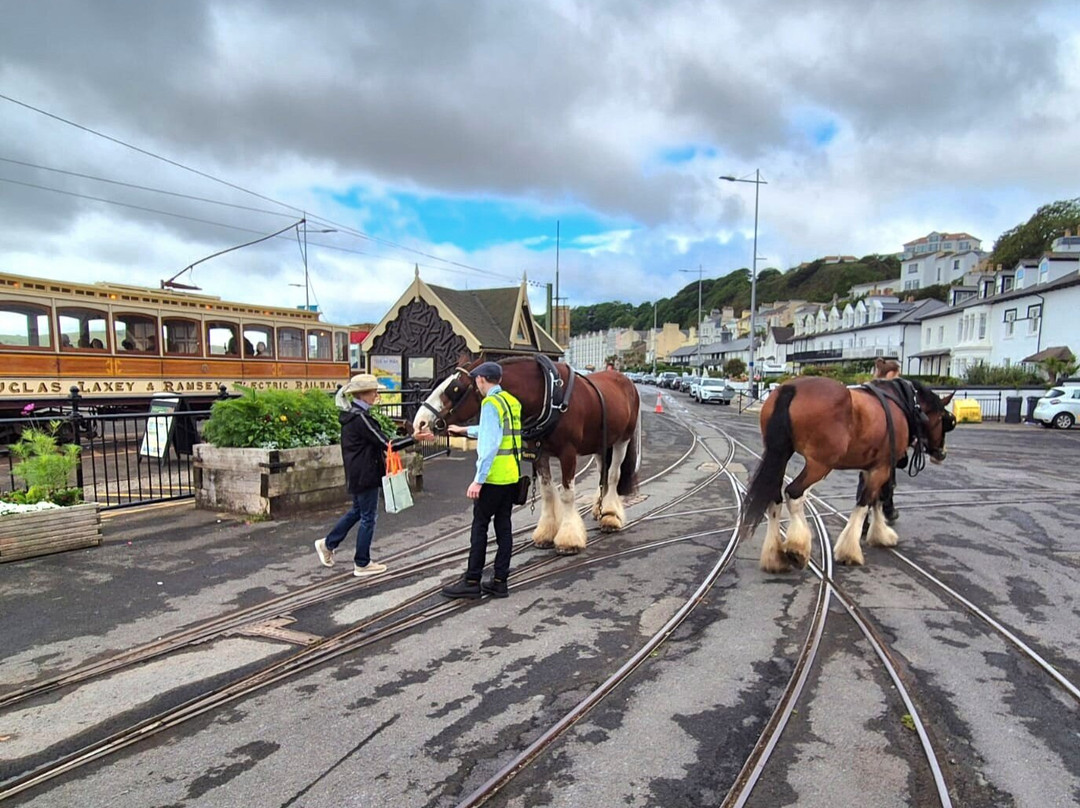 Douglas Bay Horse Tramway-Douglas必去景点