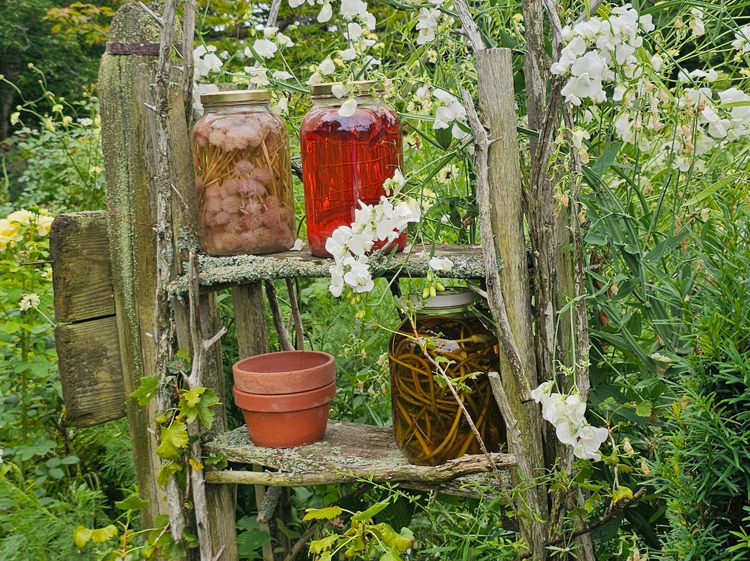 Tangled Garden-Grand Pre必去景点