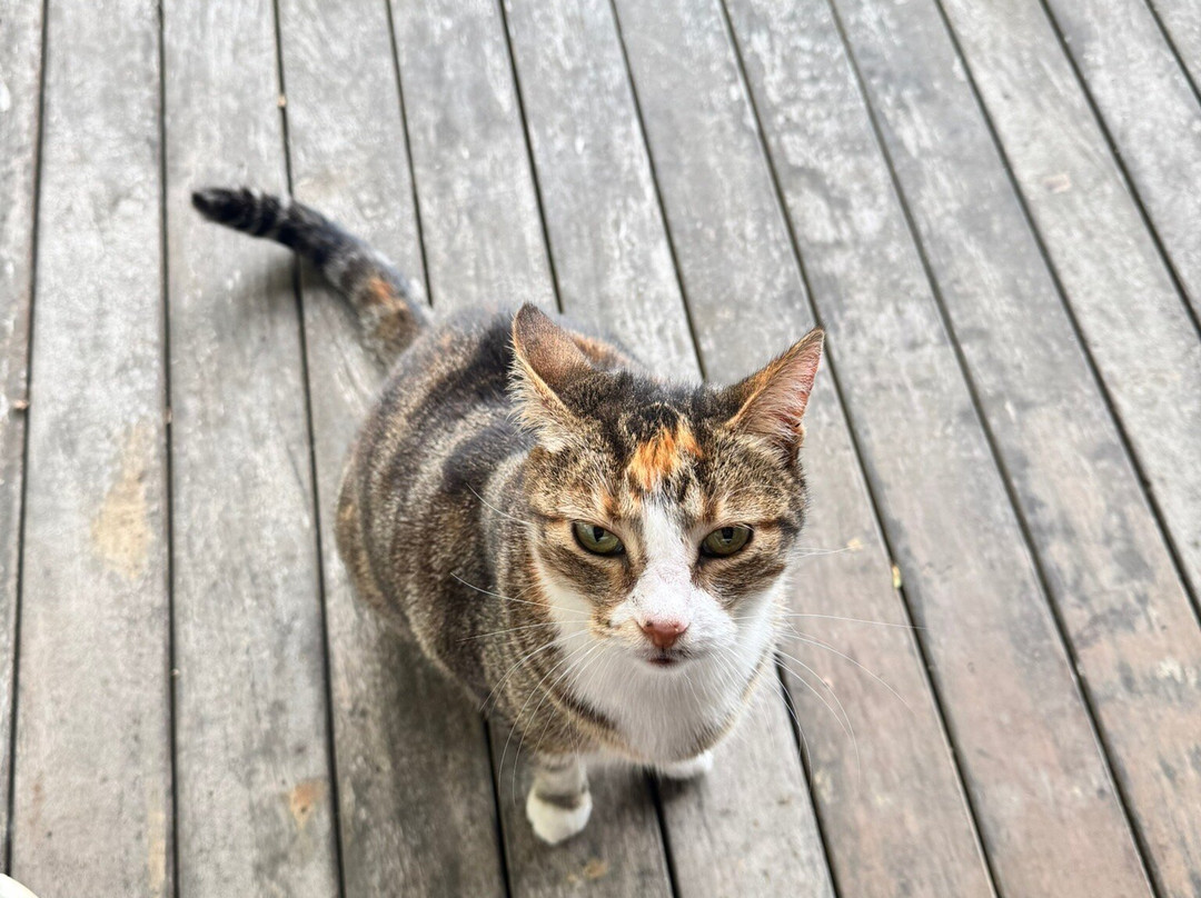 Five Princes Hotel主图