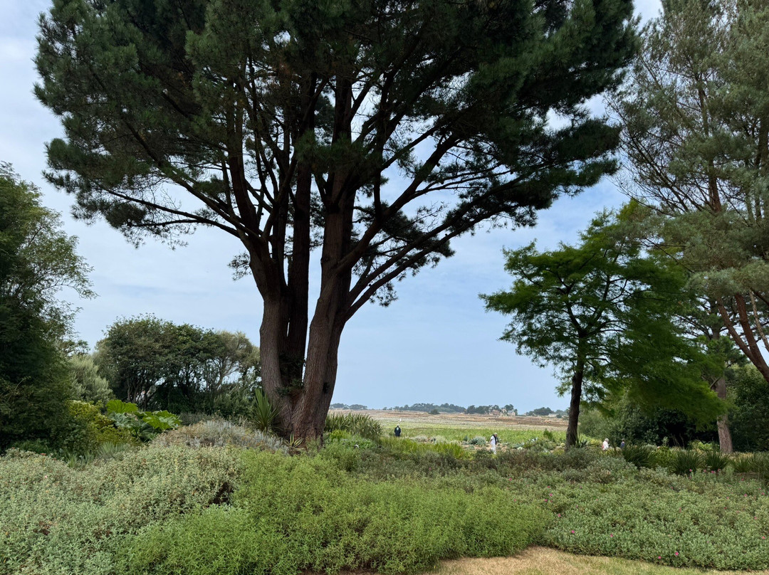 Le Jardin du Pellinec-Penvenan必去景点