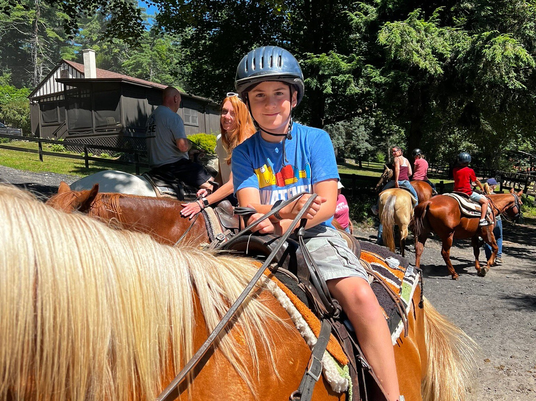 Saddle Up Stables-乔治湖必去景点