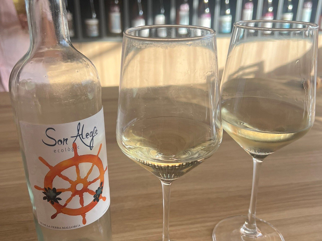 Vinya Son Alegre-Calonge必去景点