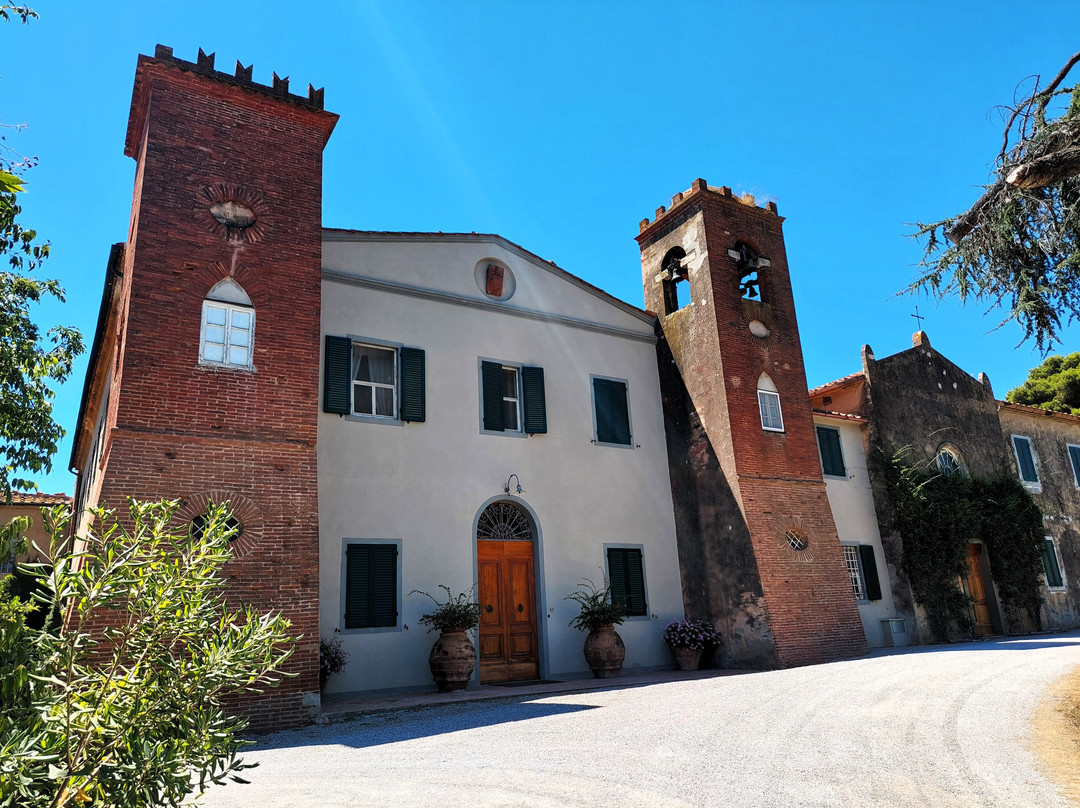 Tenuta Del Numero Uno - Fattoria Bicocchi-福洛尼卡必去景点