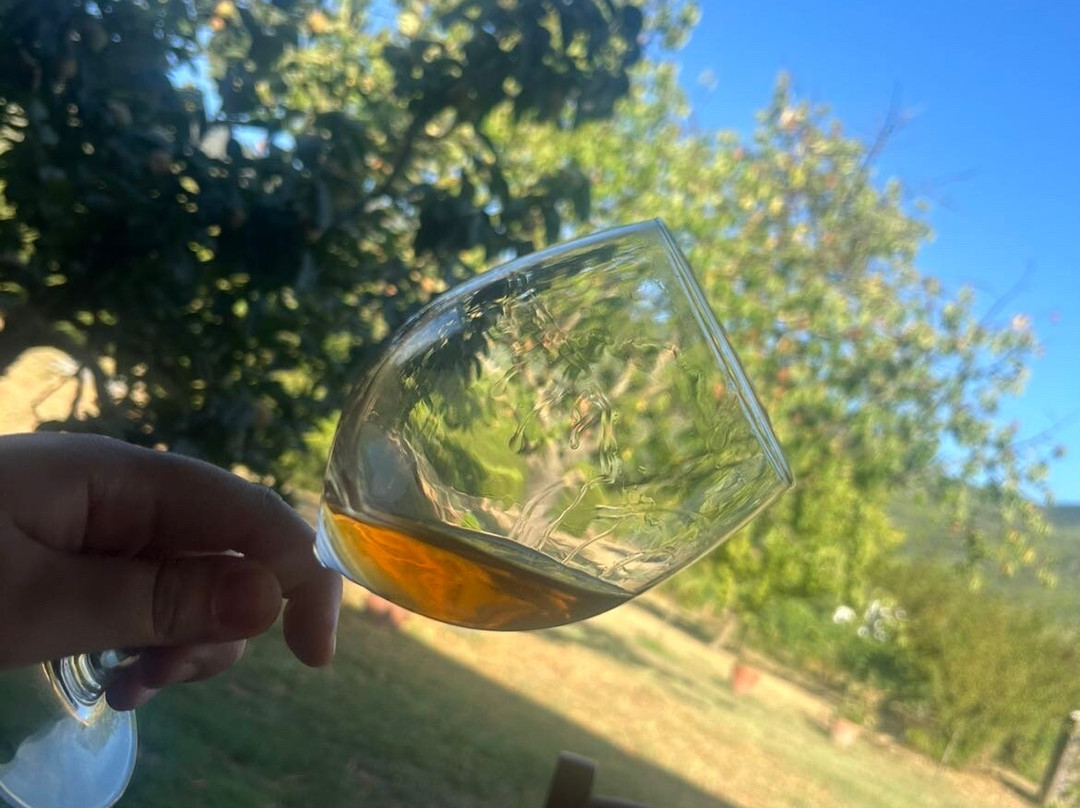 Fattoria San Vito-Calci必去景点