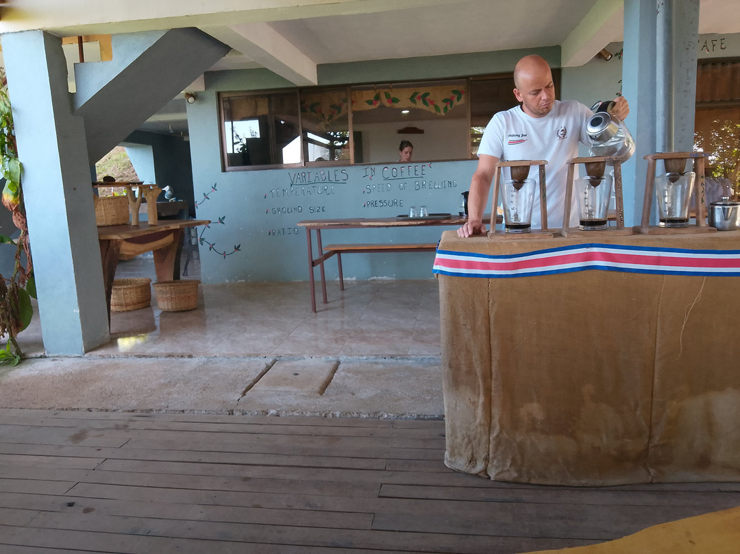 TIO JOSE COFFEE TOUR-葛雷西亚必去景点