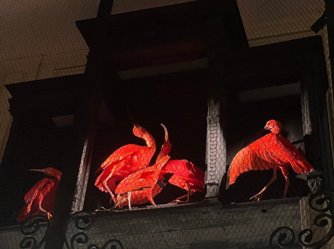 Art Zoo Museum-阿姆斯特丹必去景点