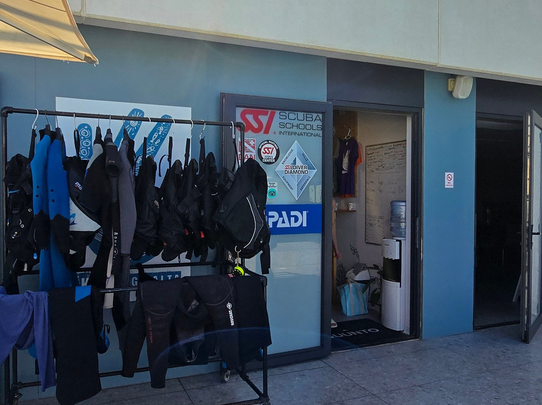 OK Diving Malta-圣保罗湾城必去景点