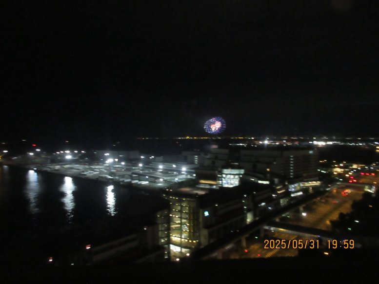 Grand Prince Hotel Osaka Bay-酒店景观